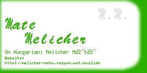 mate melicher business card